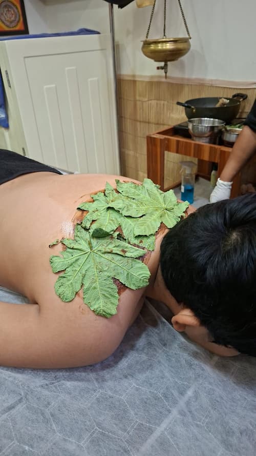 ayurvedic Lepana treatment therapy in rohini, delhi